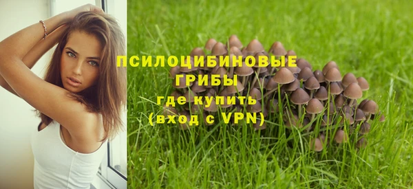 mdpv Аркадак